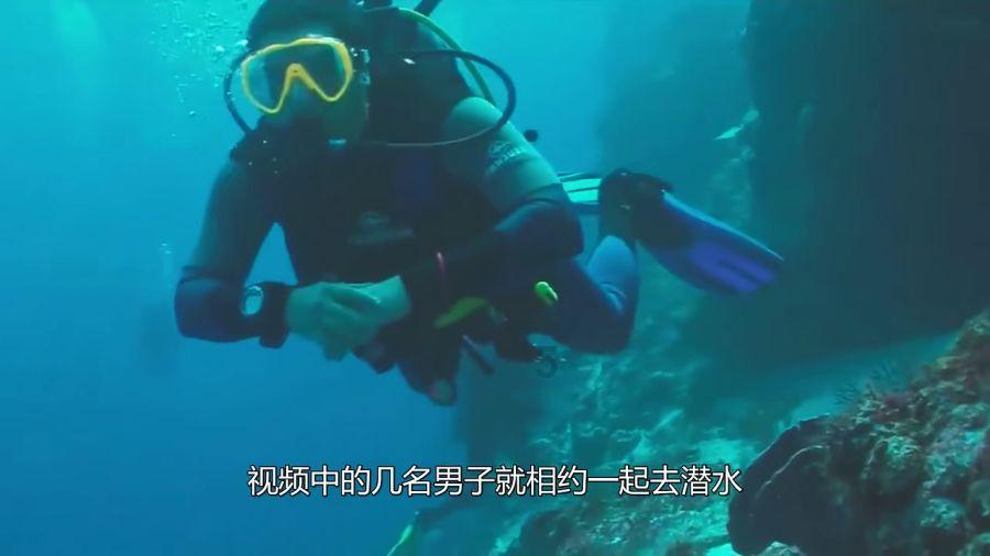 《狂飙》:唐小虎一语道破高启盛讨厌陈书婷的真相,令人大开眼界