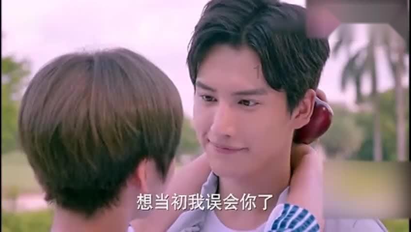 救援七星瓢虫